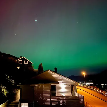 アパート Sognefjorden View ライカンゲル